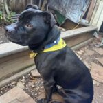 FB_IMG_1742249240544