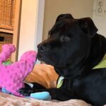 FB_IMG_1742249247551