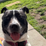 Screenshot_20250326-191357