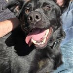 FB_IMG_1749775568874