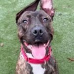 FB_IMG_1737866375426