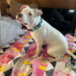 Screenshot_20250216-173542