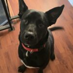 image000000 - Dawn Livingston