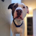 20250223_192930 - Joseph Noble~3