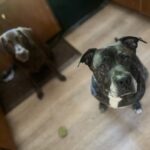 IMG_20250914_131033 - Therese Breen