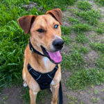 IMG_4172_jpg - Carla Guyard