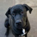 IMG_4479 - Danielle Hansen