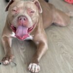 IMG_5208 - Lindy Vejar