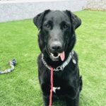 IMG_8710 - Nisarg Modi (1)