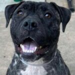 FB_IMG_1746140072391