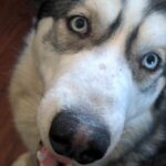 IMG_0378 - Jennifer E