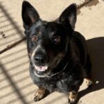 received_1189435099048157 - Therese Breen