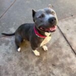 FB_IMG_1746140113909