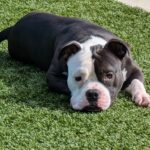 PXL_20250207_201908107 - Iris Campos