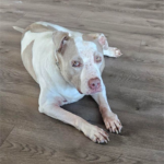 Screenshot_20250409-193959