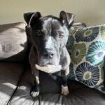 IMG_20250404_79b1356 - Desiree Shaver