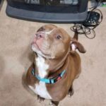 received_1409625343696799 - Therese Breen