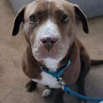 received_3985567878371966 - Therese Breen