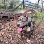 480028901_674084021843889_198268790184905291_n - Therese Breen (1)