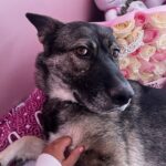 IMG_4559 - Fatima Cazares (1)