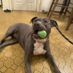 received_615675778206012 - Therese Breen