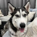 WechatIMG177 - Yifei Luo