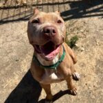 FB_IMG_1754532808393