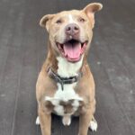 FB_IMG_1755034002072