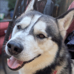 Screenshot_20250808-160252