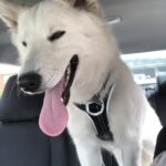 IMG_0310 - Sonia Decker