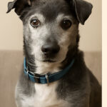 IMG_1923 - Anthony Owens